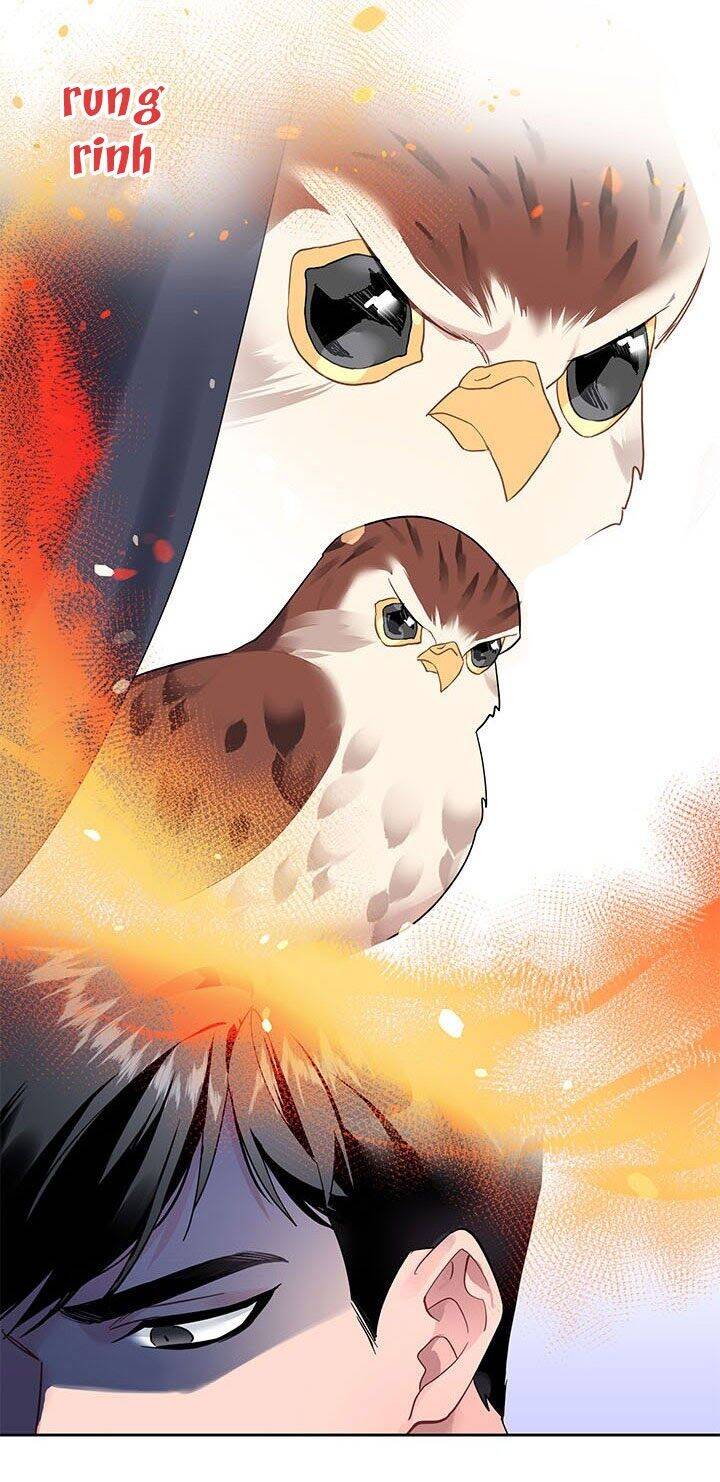 Công Chúa Của Loài Chim Chapter 5 - 38
