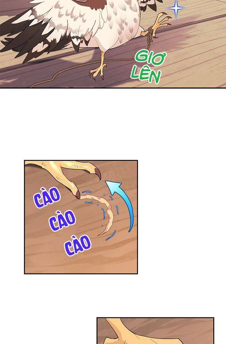 Công Chúa Của Loài Chim Chapter 6 - 11