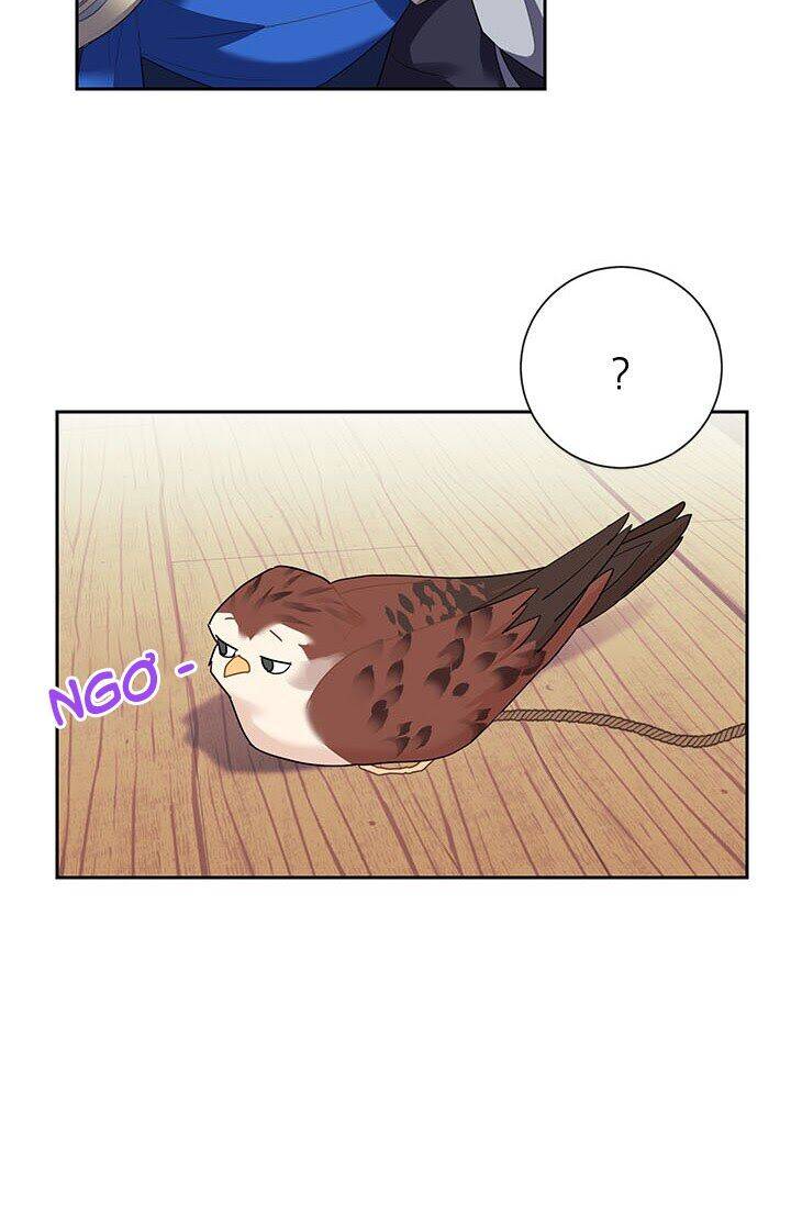 Công Chúa Của Loài Chim Chapter 6 - 20