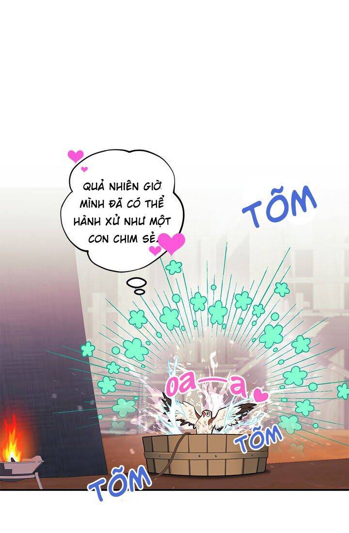 Công Chúa Của Loài Chim Chapter 6 - 27