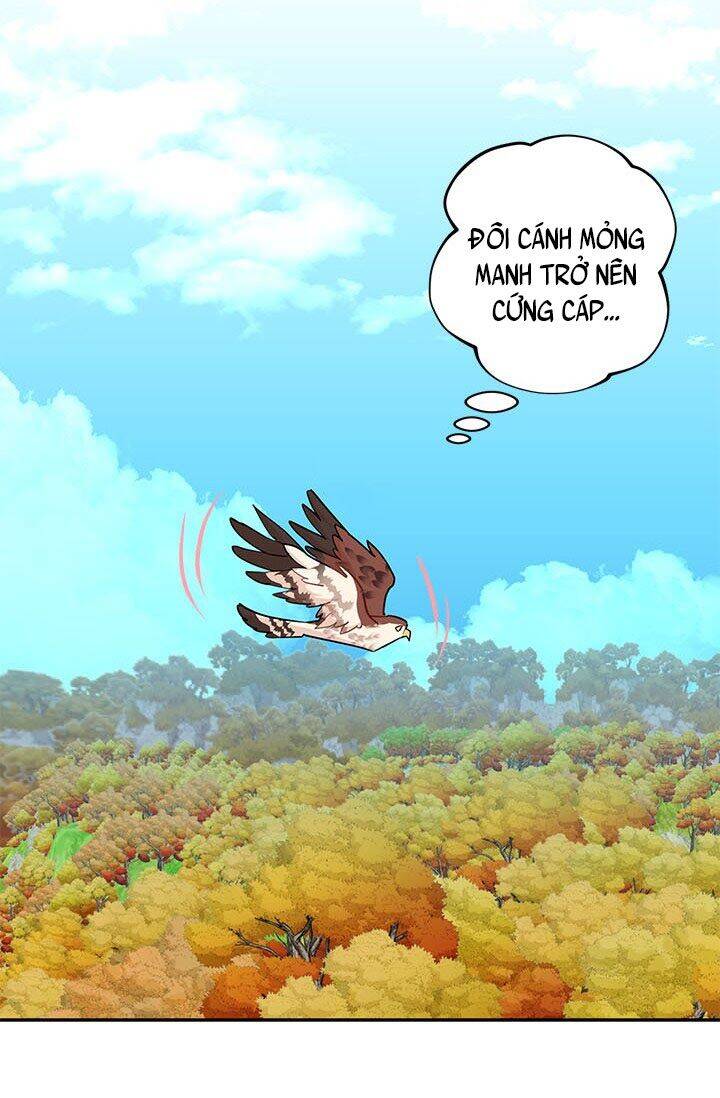Công Chúa Của Loài Chim Chapter 7 - 22
