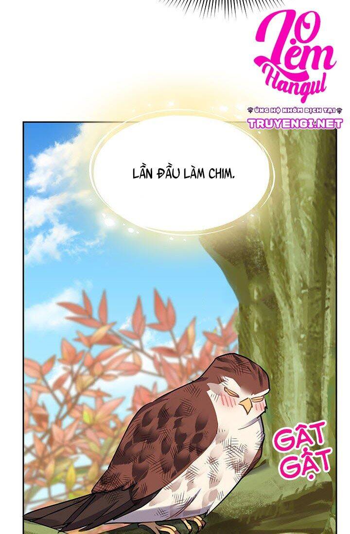 Công Chúa Của Loài Chim Chapter 7 - 38