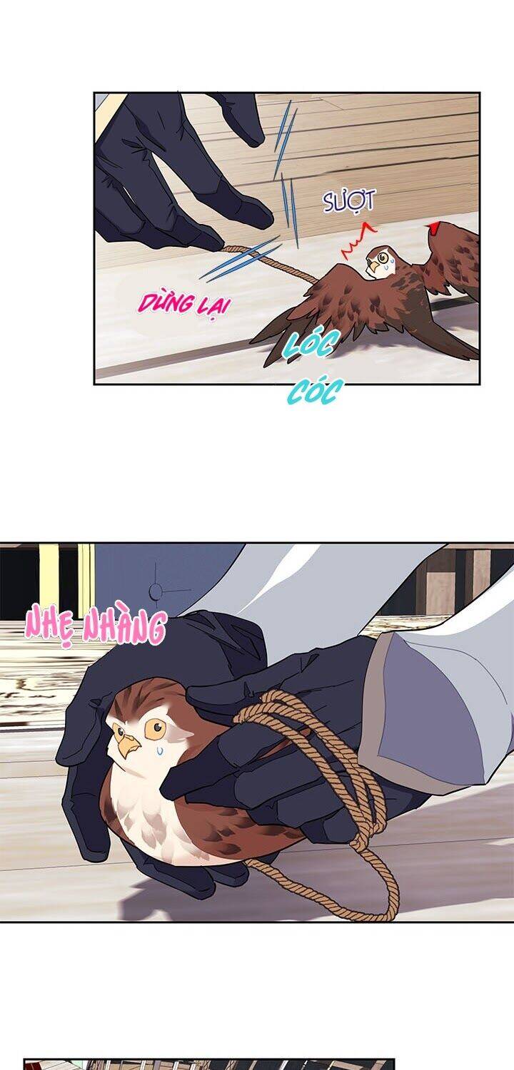 Công Chúa Của Loài Chim Chapter 9 - 47