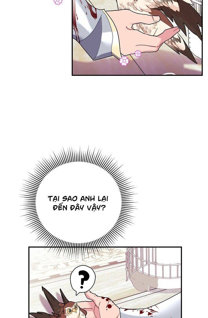 Công Chúa Của Loài Chim Chapter 22 - 37