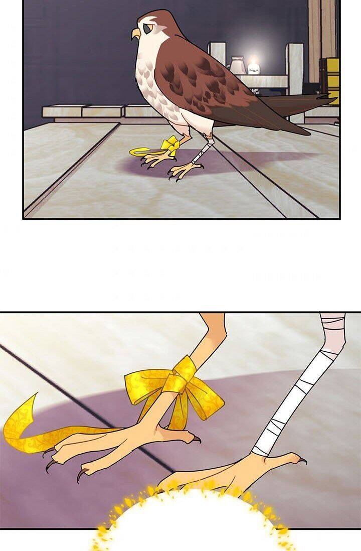 Công Chúa Của Loài Chim Chapter 22 - 53