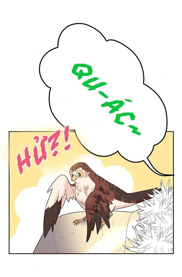 Công Chúa Của Loài Chim Chapter 22 - 83