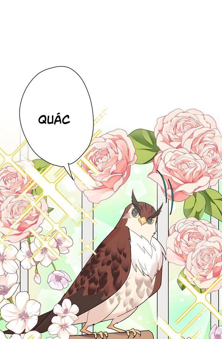 Công Chúa Của Loài Chim Chapter 22 - 85