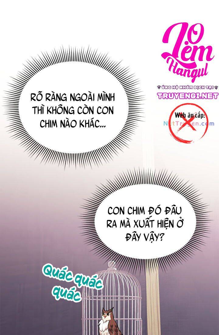 Công Chúa Của Loài Chim Chapter 23 - 2