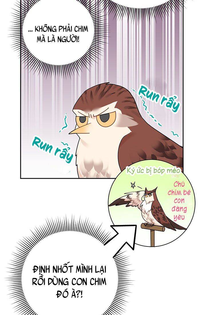 Công Chúa Của Loài Chim Chapter 23 - 14
