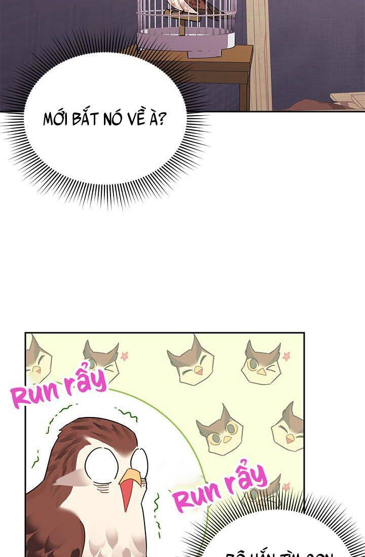 Công Chúa Của Loài Chim Chapter 23 - 3