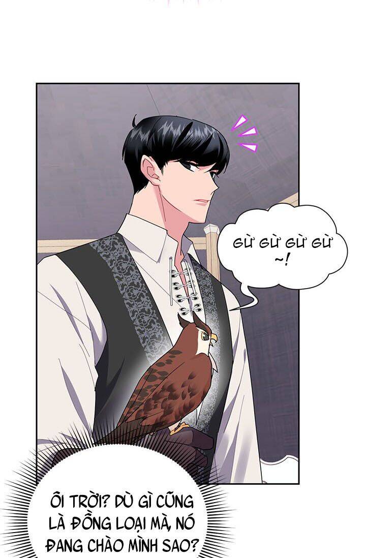 Công Chúa Của Loài Chim Chapter 23 - 21