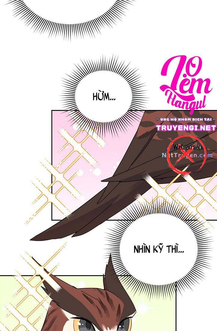 Công Chúa Của Loài Chim Chapter 23 - 22