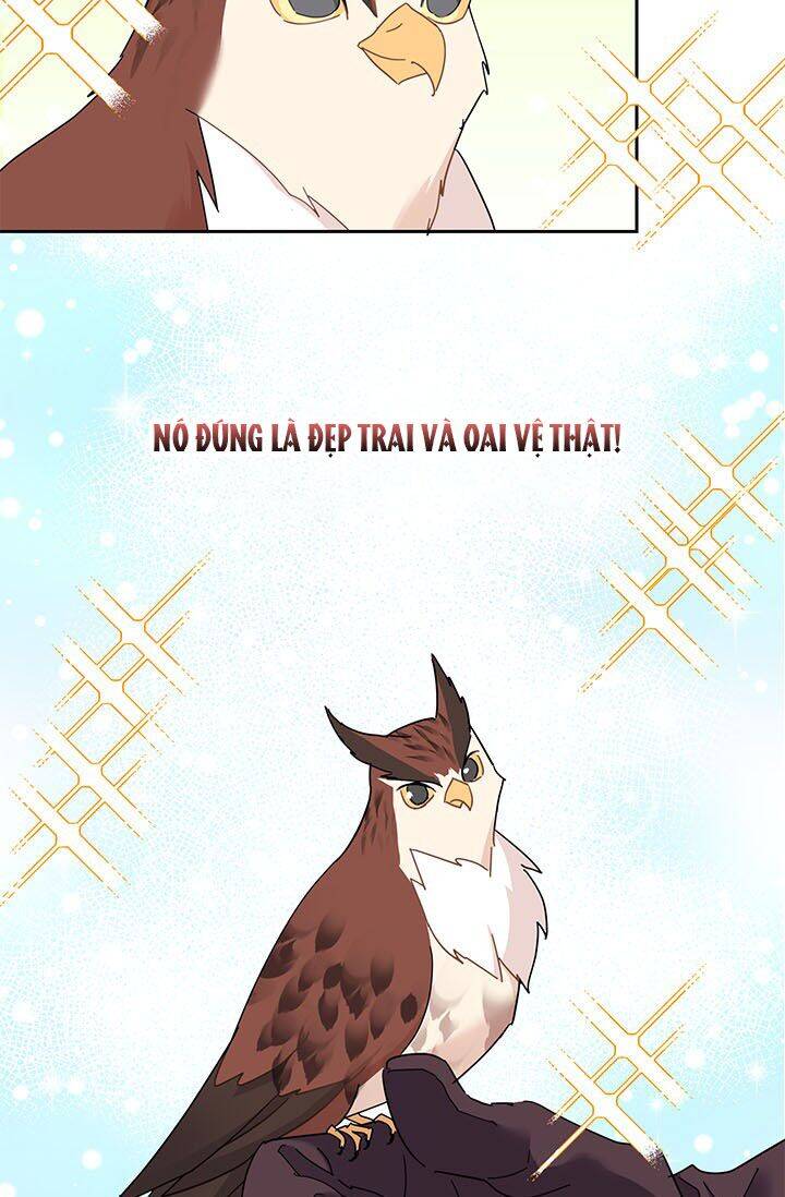 Công Chúa Của Loài Chim Chapter 23 - 23