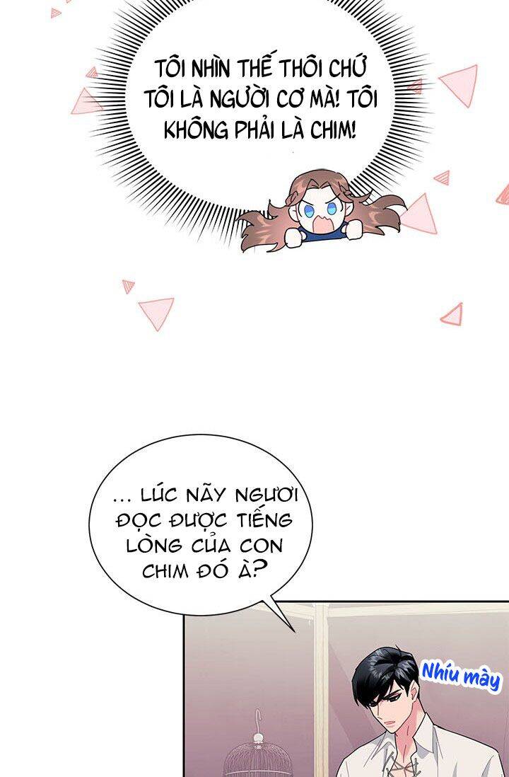Công Chúa Của Loài Chim Chapter 23 - 48