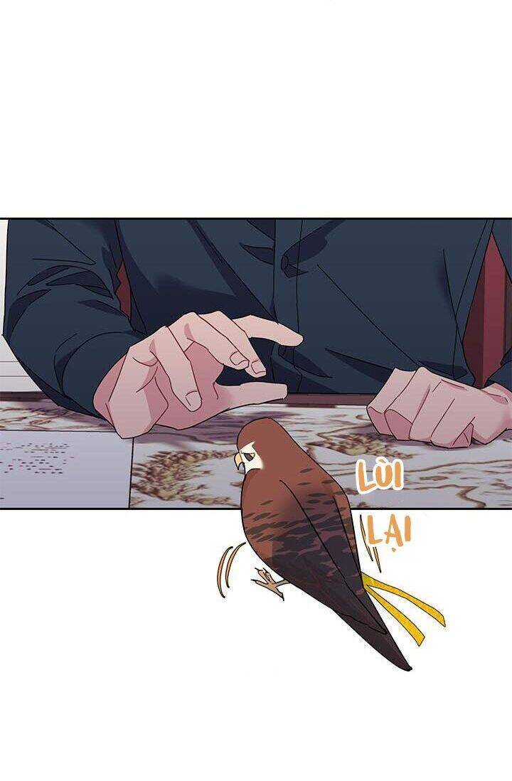 Công Chúa Của Loài Chim Chapter 24 - 47