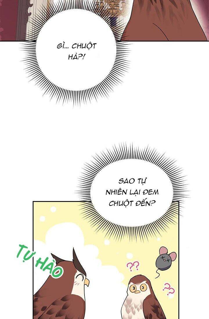 Công Chúa Của Loài Chim Chapter 24 - 59