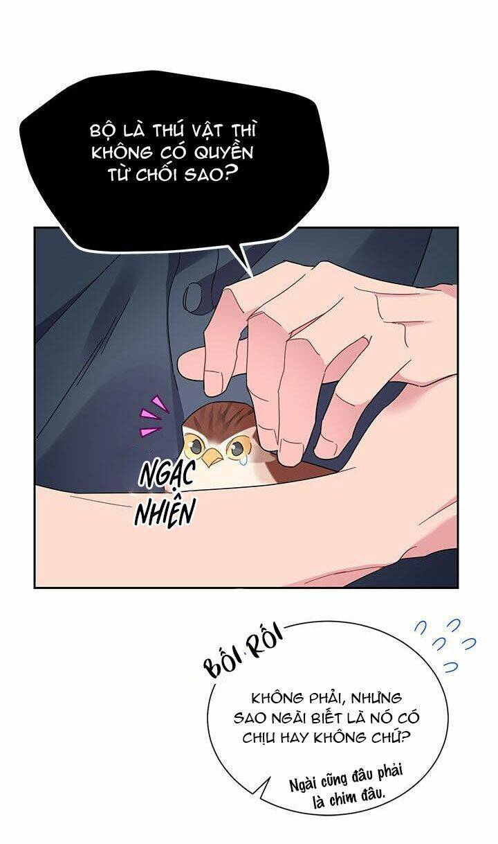 Công Chúa Của Loài Chim Chapter 25 - 12