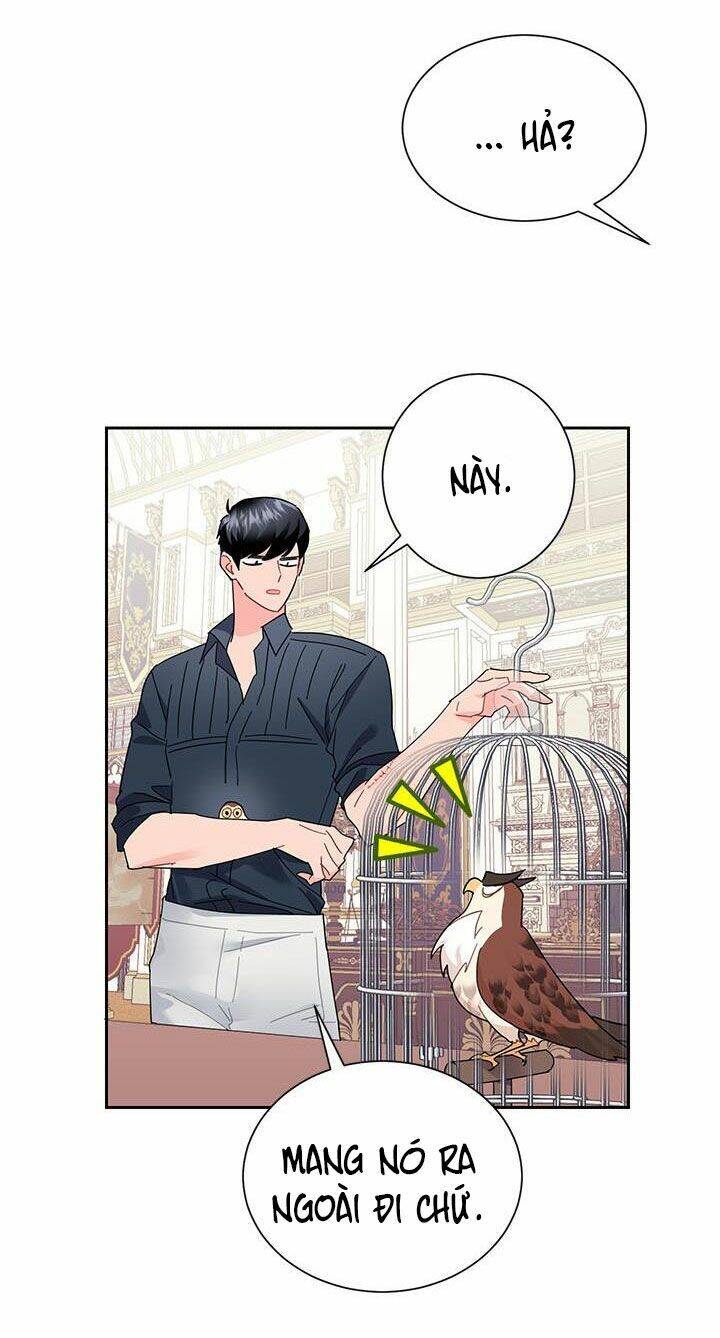 Công Chúa Của Loài Chim Chapter 25 - 19