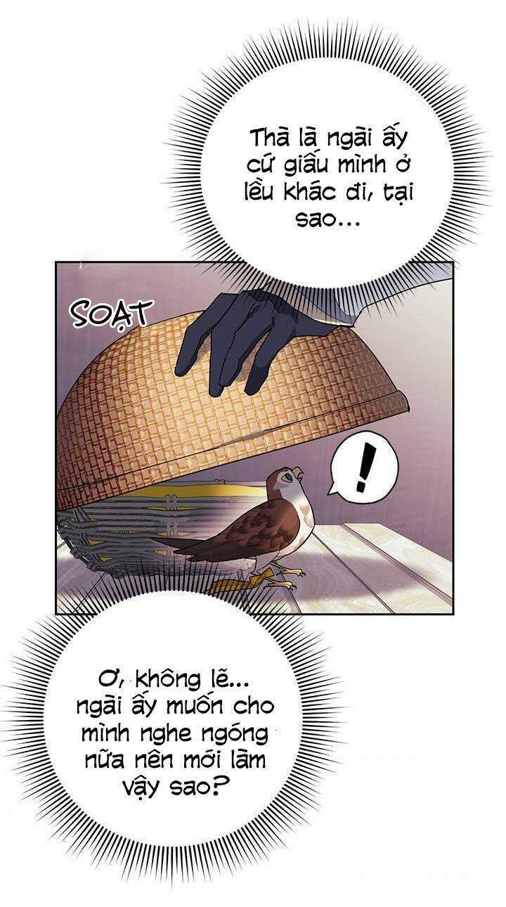 Công Chúa Của Loài Chim Chapter 25 - 29
