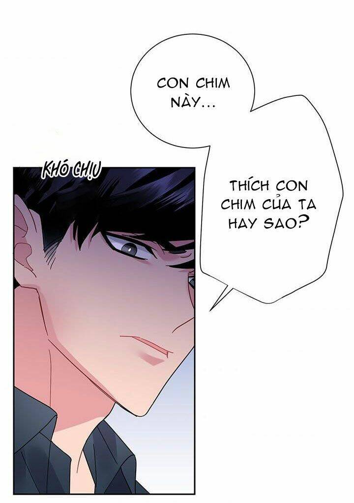 Công Chúa Của Loài Chim Chapter 25 - 4