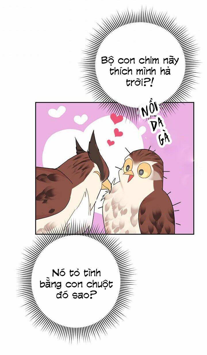Công Chúa Của Loài Chim Chapter 25 - 5
