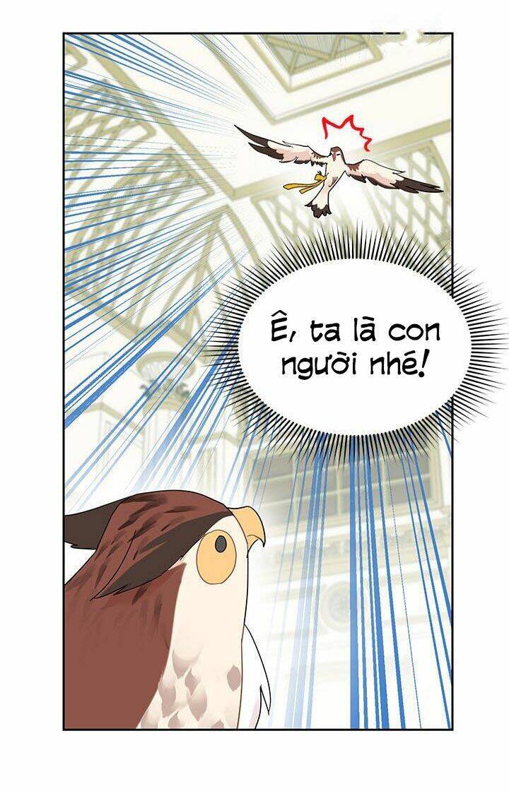 Công Chúa Của Loài Chim Chapter 25 - 7