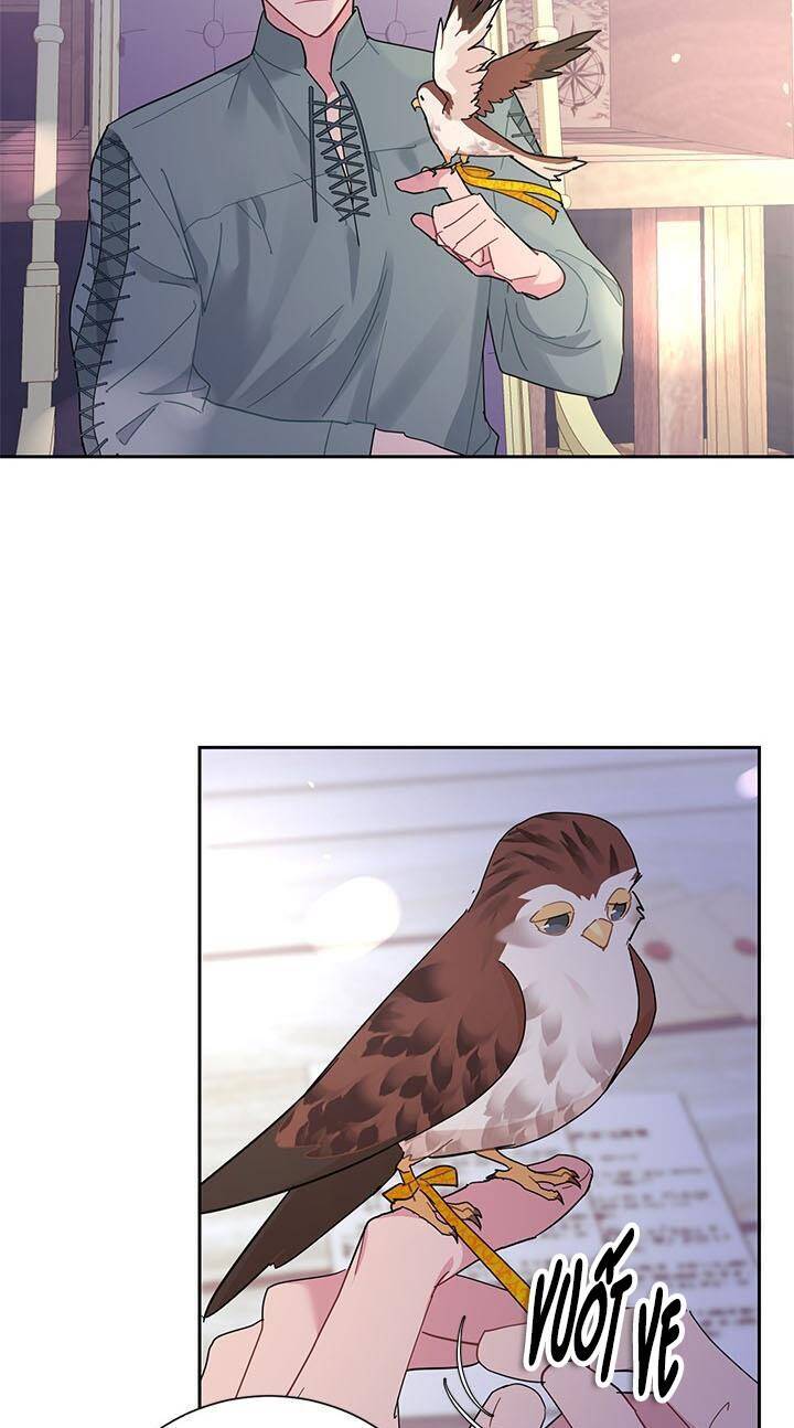 Công Chúa Của Loài Chim Chapter 28 - 43