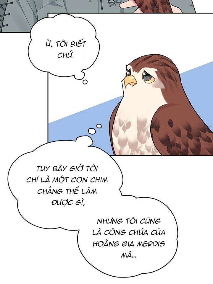 Công Chúa Của Loài Chim Chapter 28 - 46