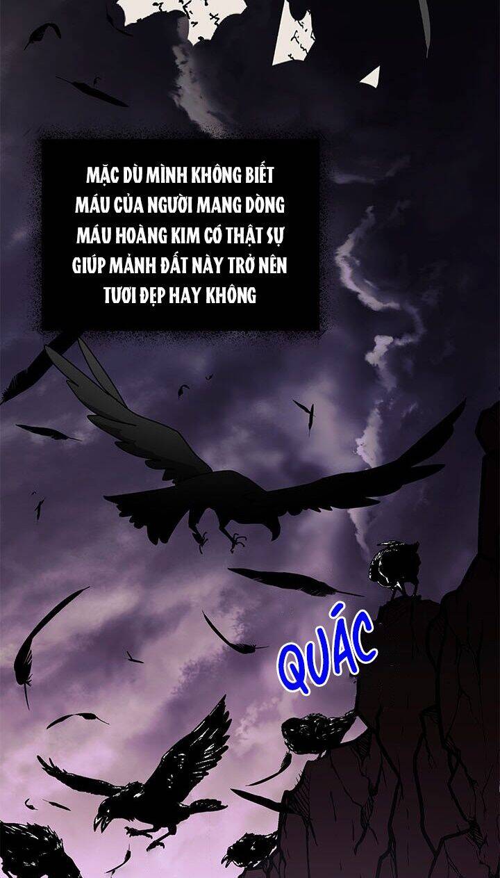 Công Chúa Của Loài Chim Chapter 29 - 29