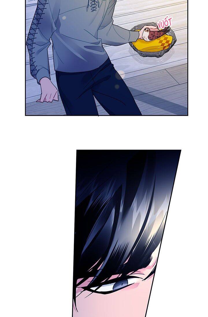 Công Chúa Của Loài Chim Chapter 29 - 47