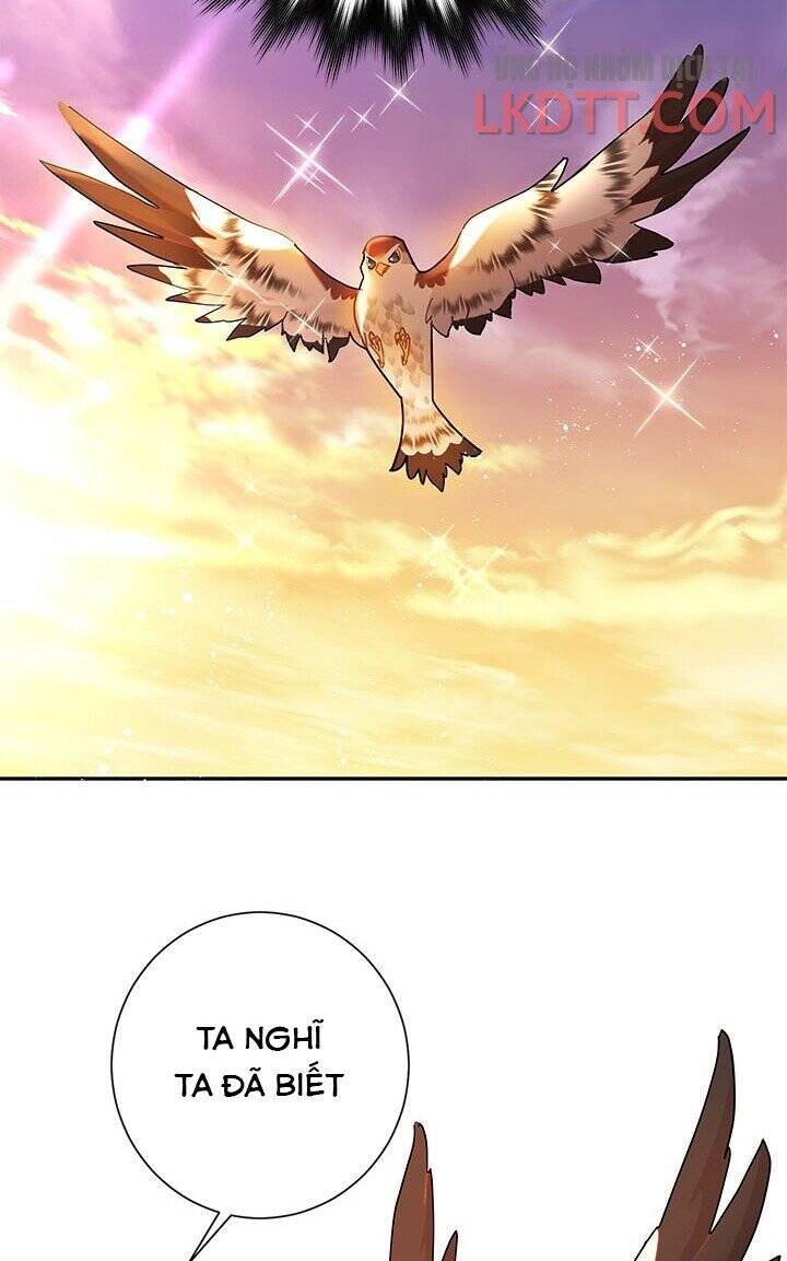 Công Chúa Của Loài Chim Chapter 30 - 35