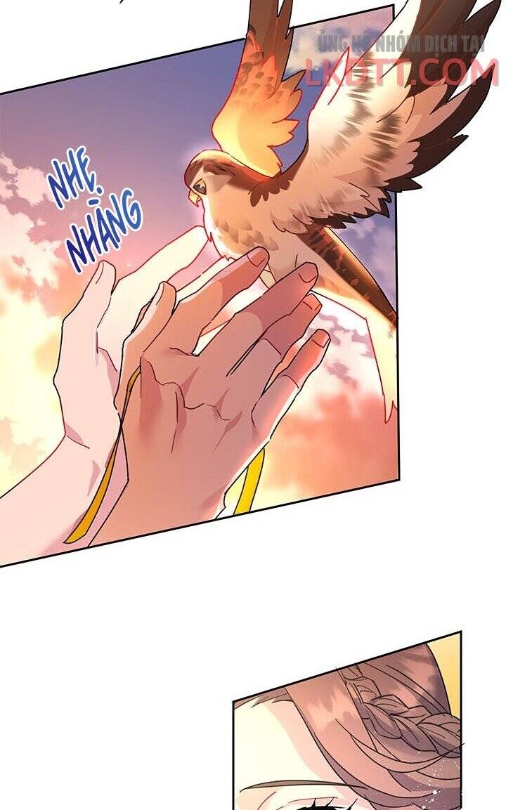 Công Chúa Của Loài Chim Chapter 30 - 36