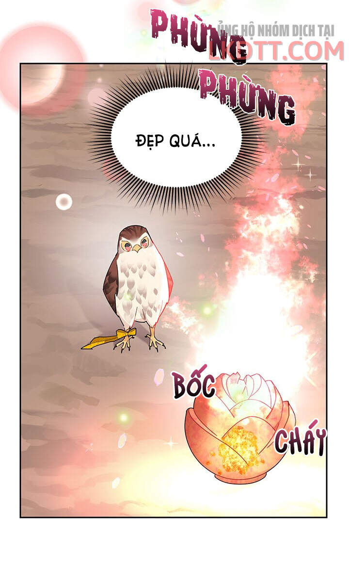 Công Chúa Của Loài Chim Chapter 31 - 25