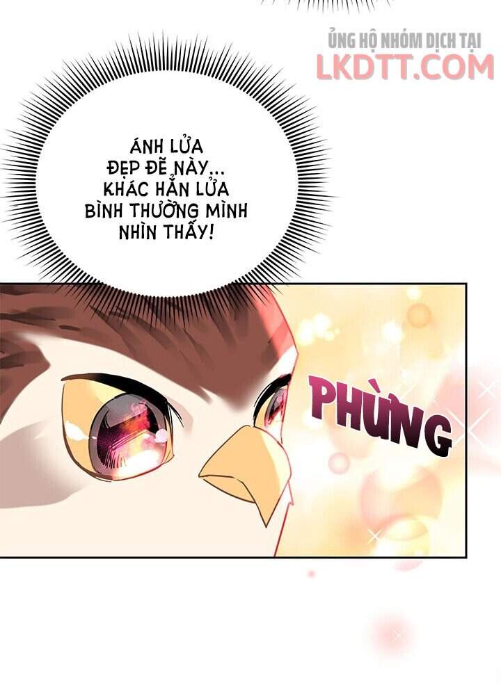 Công Chúa Của Loài Chim Chapter 31 - 27