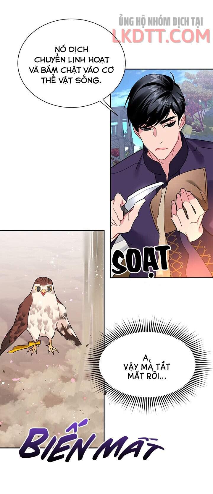 Công Chúa Của Loài Chim Chapter 31 - 29