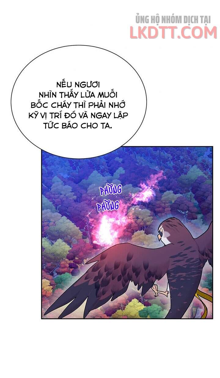 Công Chúa Của Loài Chim Chapter 31 - 32