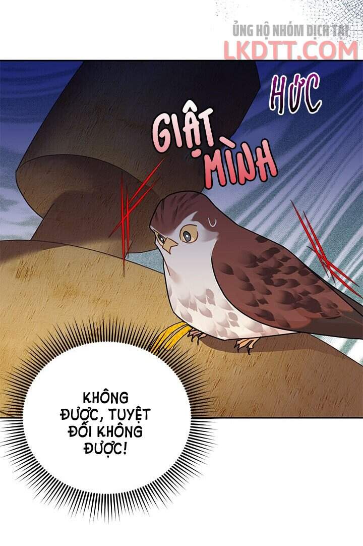 Công Chúa Của Loài Chim Chapter 31 - 68