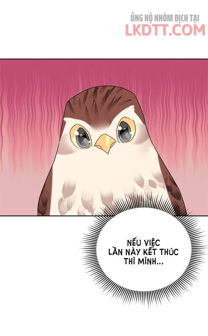 Công Chúa Của Loài Chim Chapter 31 - 74
