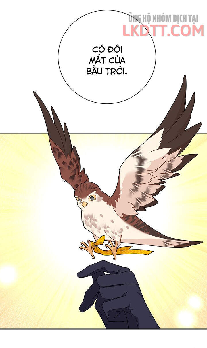 Công Chúa Của Loài Chim Chapter 31 - 10