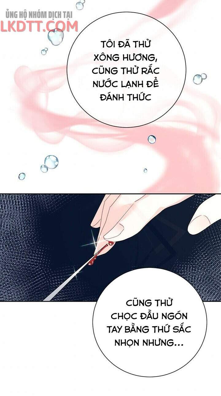 Công Chúa Của Loài Chim Chapter 35 - 27