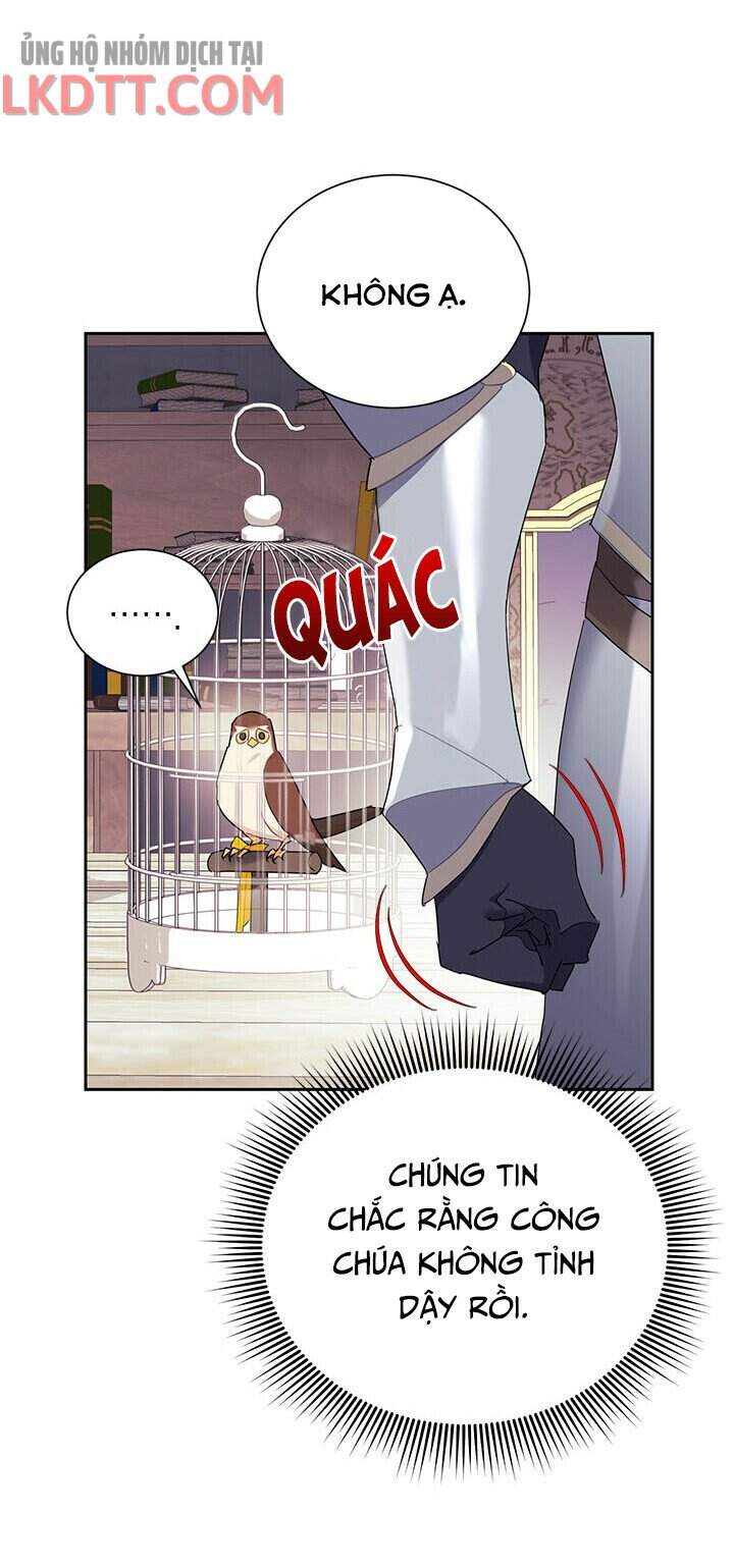Công Chúa Của Loài Chim Chapter 35 - 49