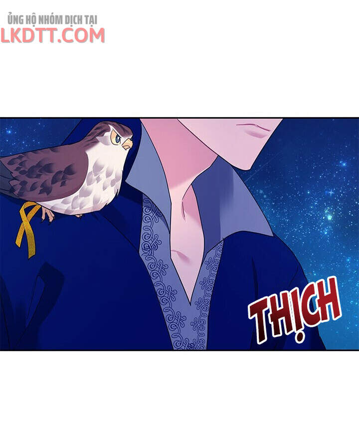 Công Chúa Của Loài Chim Chapter 36 - 40