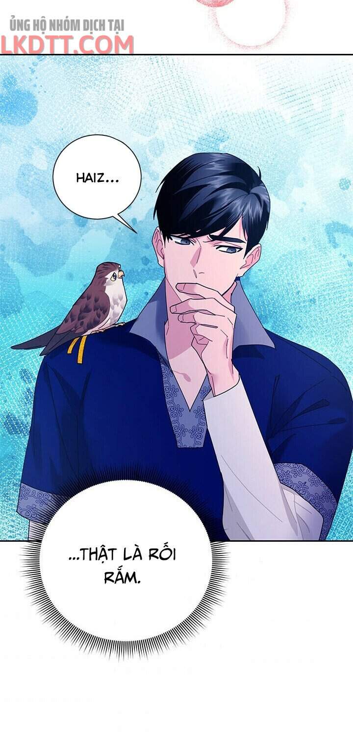 Công Chúa Của Loài Chim Chapter 36 - 42
