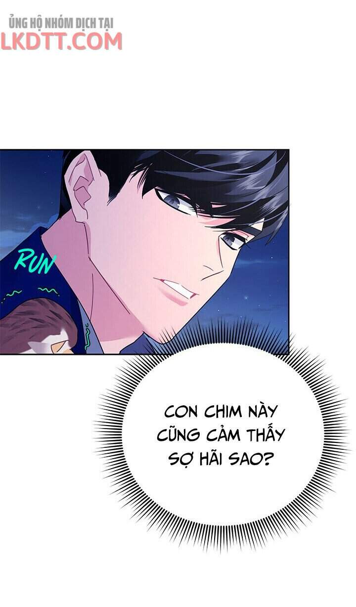 Công Chúa Của Loài Chim Chapter 36 - 46