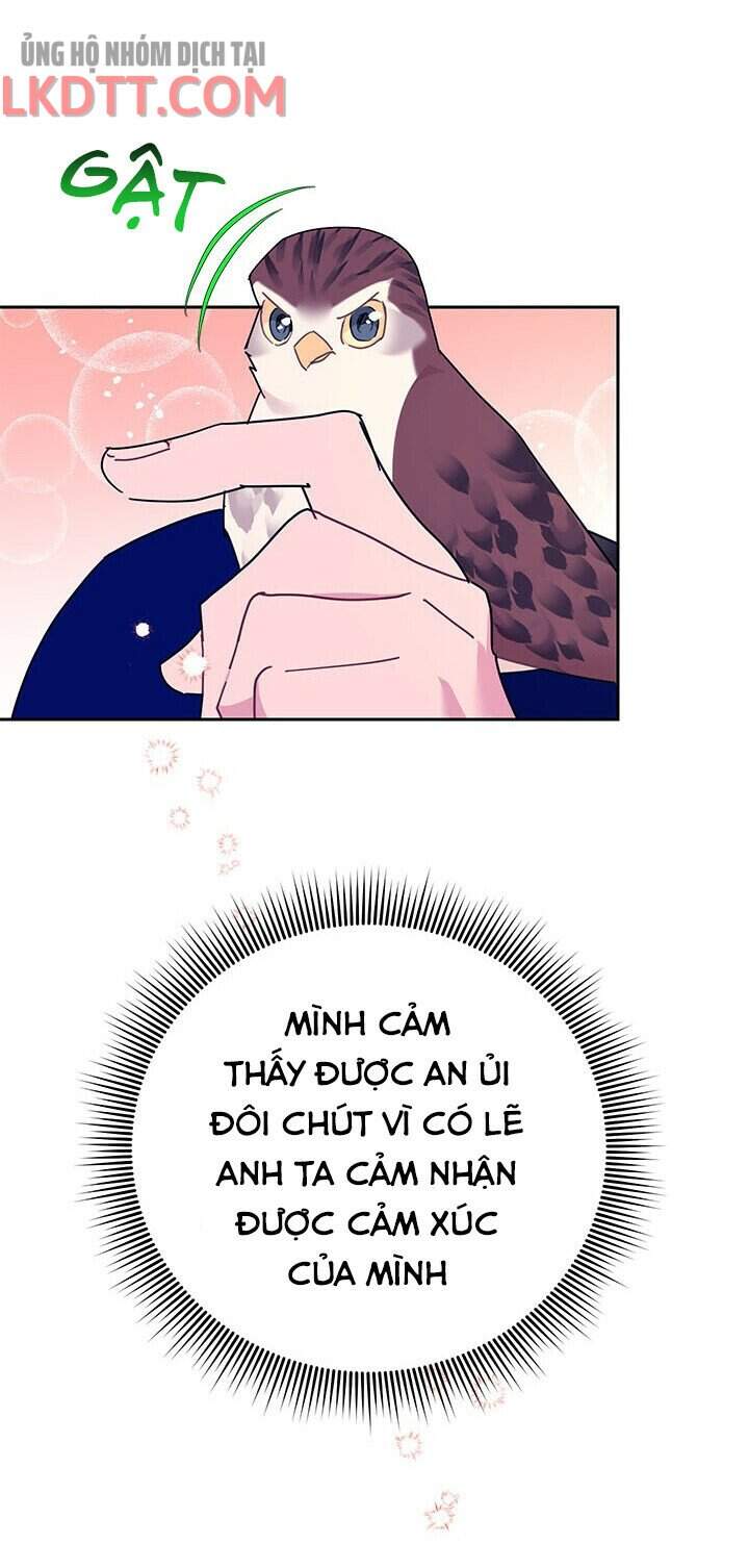 Công Chúa Của Loài Chim Chapter 36 - 48