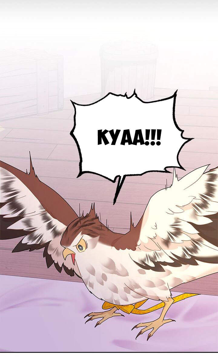 Công Chúa Của Loài Chim Chapter 37.1 - 11