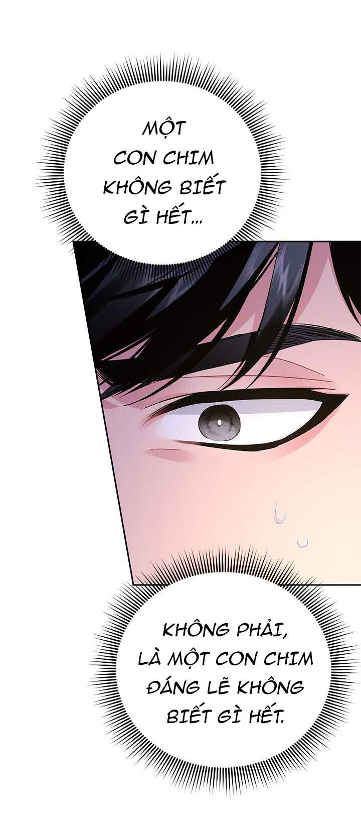 Công Chúa Của Loài Chim Chapter 37.1 - 13