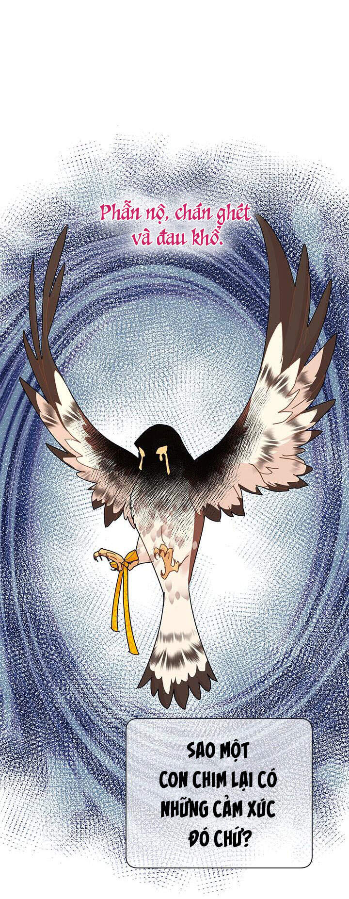 Công Chúa Của Loài Chim Chapter 37.1 - 31