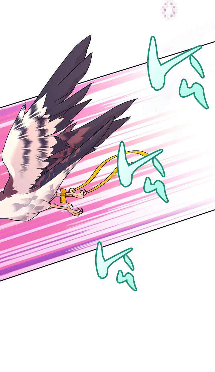 Công Chúa Của Loài Chim Chapter 37.1 - 40