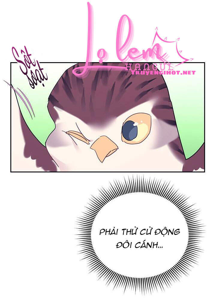 Công Chúa Của Loài Chim Chapter 39.1 - 21